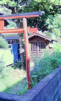 鳥居 木,鳥居,神社の写真素材