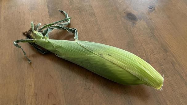 とうもろこし1本(右向き) とうもろこし1本(右向き) とうもろこし,野菜,コーンの写真素材