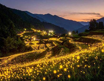 ホタルのいる田園風景 ホタルのいる田園風景の写真
