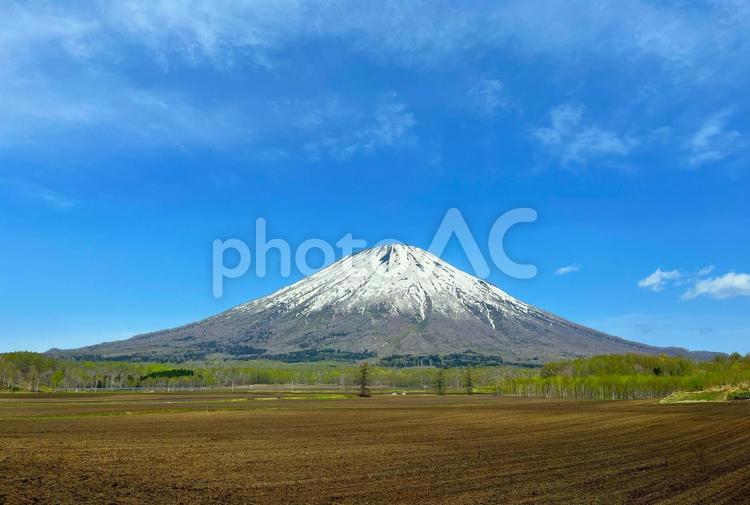 北海道　羊蹄山　Mt. Yotei  北海道,春,山の写真素材