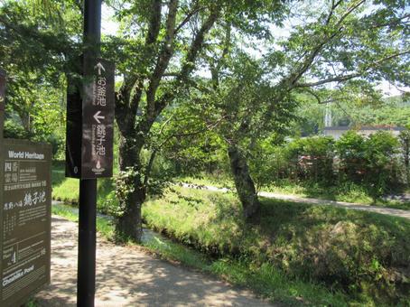 Scenery of Oshino Hakkai at the foot of Mount Fuji, JPG Scenery of Oshino Hakkai at the foot of Mount Fuji, JPG