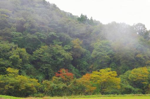 紅葉のはじまりの写真