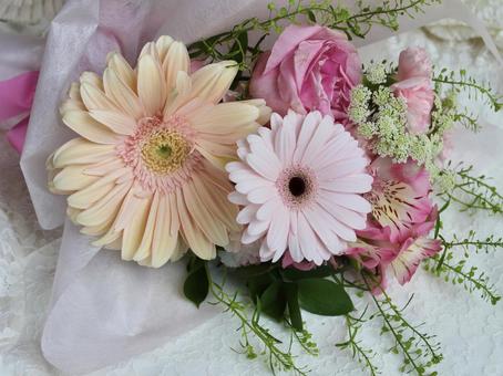 ガーベラが入ったピンク色の花束　白色背景 花束,ガーベラ,ピンクの写真素材