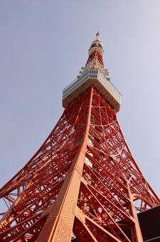 東京タワー 東京タワーの写真