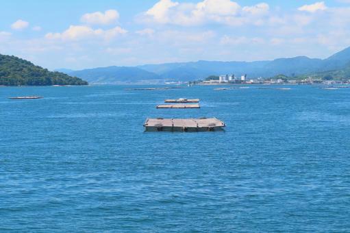 牡蠣筏 広島,海,瀬戸内海の写真素材