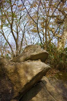 岩と秋の木々 自然,風景,岩の写真素材