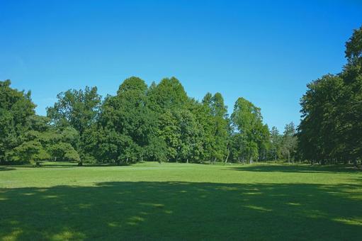 緑の公園 芝生広場 緑の公園 芝生広場 公園,森,緑の写真素材