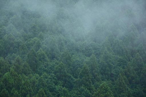 雨の日の山と霧の風景 雨の日の山と霧の風景 森林,霧,雨の写真素材