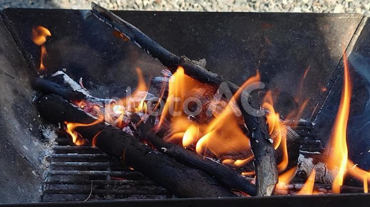 デイキャンプで焚き火 火,燃える,メラメラの写真素材