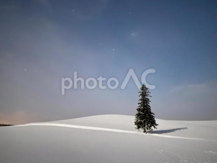 クリスマスツリーの木 雪景色,星空,夜空の写真素材