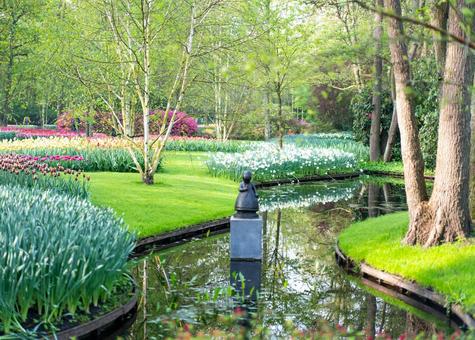 Photo, キ ュ ー ケ ン ホ フ park, netherlands, amsterdam, 
