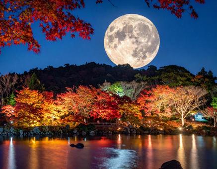 中秋の名月の写真