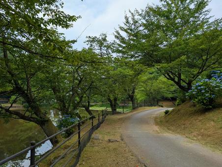 Photo, sidewalk, trail, a waterside, 