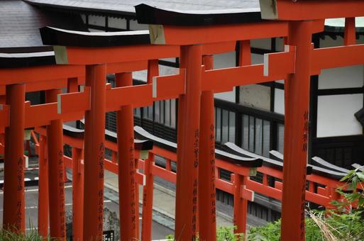 たくさんの鳥居 たくさんの鳥居 北海道,住吉神社,小樽の写真素材