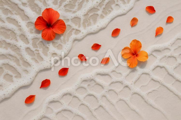 泡紋とオレンジの花びら 砂浜,海辺,波泡の写真素材