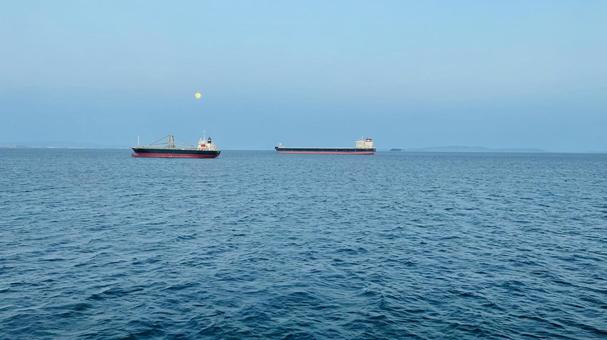 瀬戸内海の眺め2 瀬戸内海の眺め2 瀬戸内海,兵庫県,小豆島の写真素材
