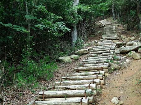 どこまでも続く山道の丸太の階段 どこまでも続く山道の丸太の階段 山道,山登り,登山の写真素材