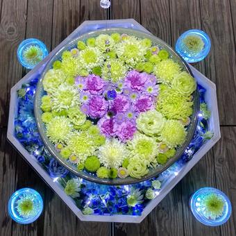 花手水 花手水 花手水,花,ガーデンの写真素材