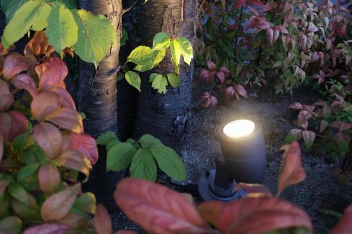 Photo, garden light, solar light, court, 