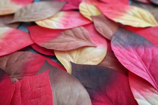 落ち葉のイメージ 落ち葉のイメージの写真