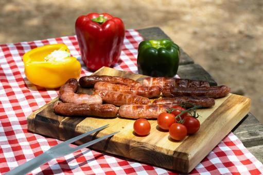 カラフルなパプリカとソーセージ ソーセージ,ミニトマト,パプリカの写真素材