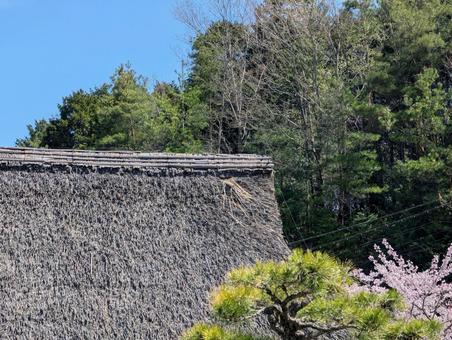 茅葺きの屋根と青い空 茅葺きの屋根と青い空 茅葺き,屋根,伝統的の写真素材