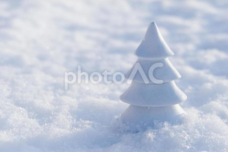 雪原の白い木 雪原,木,白いの写真素材