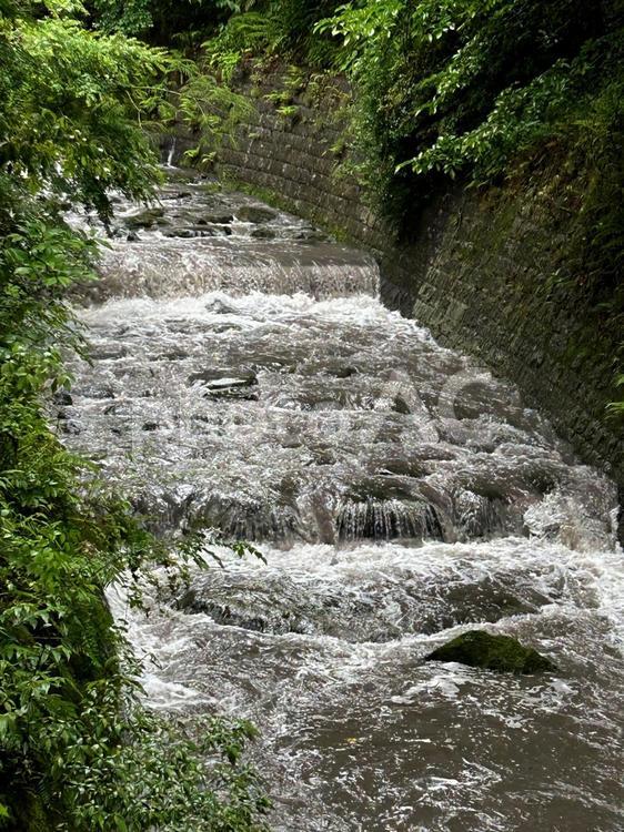 雨の仙巌園（水道） 雨の仙巌園（水道）,雨,鹿児島の写真素材