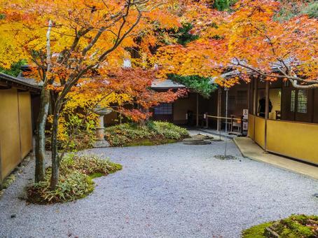 【神奈川県】鎌倉市・一条恵観山荘 【神奈川県】鎌倉市・一条恵観山荘 一条恵観山荘,紅葉,秋の写真素材