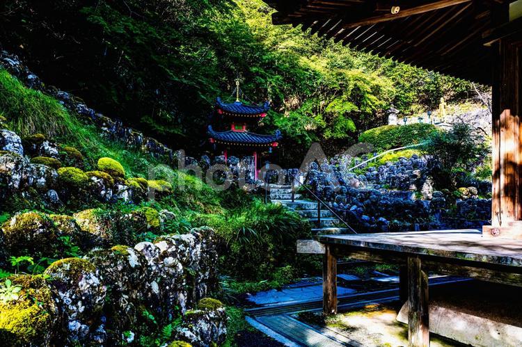愛宕念仏寺 愛宕念仏寺,参拝,お参りの写真素材