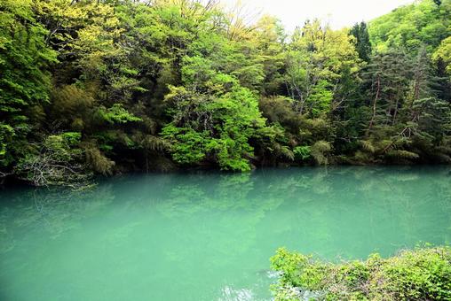 名もなき淵 名もなき淵の写真