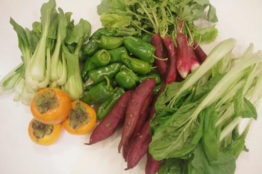 秋の恵み 彩り野菜と柿の盛り合わせ 秋の恵み 彩り野菜と柿の盛り合わせ 柿,チンゲン菜,青梗菜の写真素材