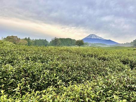 富士山に初冠雪 富士山に初冠雪の写真