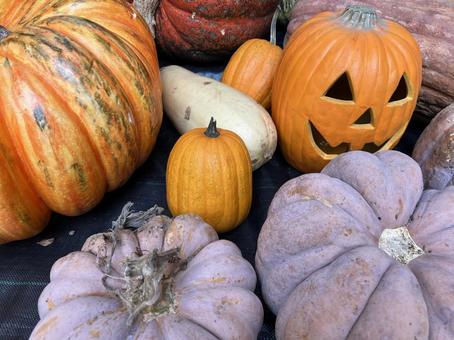 ハロウィンカボチャ ハロウィンカボチャ かぼちゃ,カボチャ,ハロウィンの写真素材