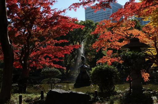 日比谷公園の池の紅葉 日比谷公園の池の紅葉の写真