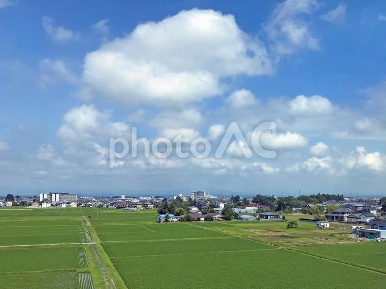 東北の田園風景（3） 田園風景,田畑,畑の写真素材