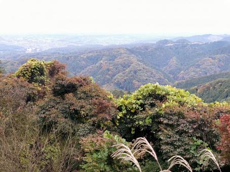 秋の紅葉とすすきの写真