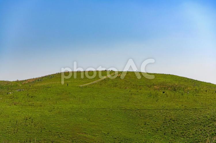 夏の秋吉台　北山 秋吉台,風景,青空の写真素材