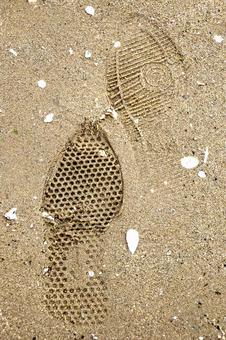 Footsteps of a wolf, footprints, footwear, beach, JPG