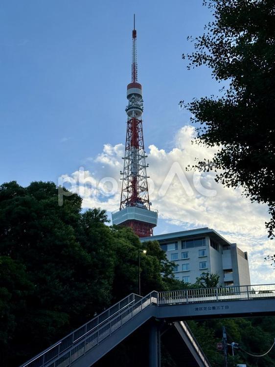 夕方　芝公園から見た東京タワー 歩道橋,鉄筋,晴天の写真素材