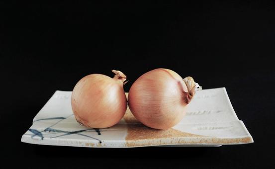 和食器に玉ねぎが2個 野菜 タマネギ 和食器に玉ねぎが2個 野菜 タマネギ 野菜,タマネギ,玉ねぎの写真素材