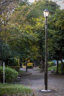 公園 公園の写真