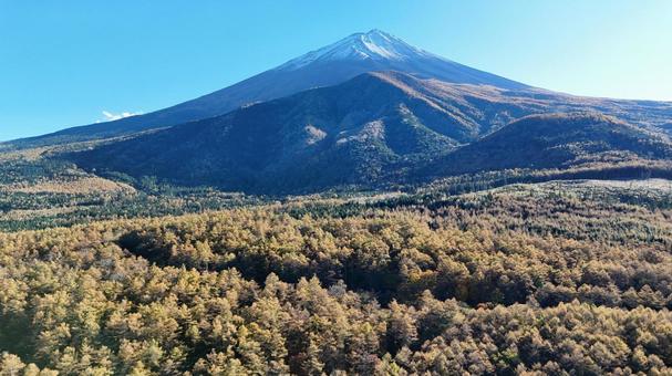 富士山と樹海を広角撮影3 広角,富士山,青空の写真素材