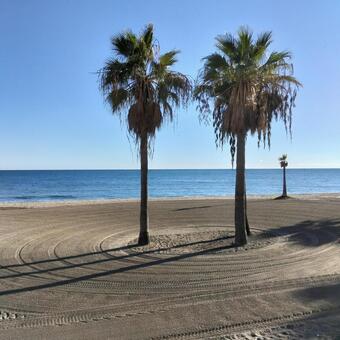 ビーチと2本の椰子の木 風景,リゾート,海の写真素材