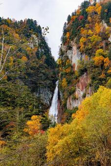 層雲峡の紅葉 層雲峡,紅葉,銀河の滝の写真素材