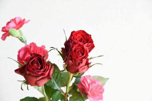 薔薇とカーネーション カーネーション,ばら,バラの写真素材