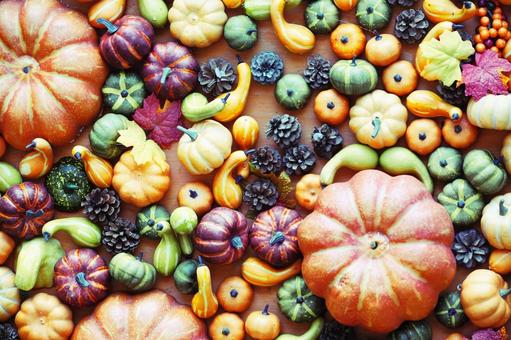 ハロウィン向けのかぼちゃと木の実 ハロウィン向けのかぼちゃと木の実 カボチャ,かぼちゃ,ハロウィンの写真素材