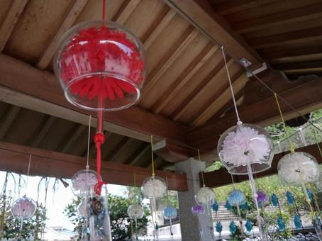 伊和志津神社 手水舎 伊和志津神社 手水舎 伊和志津神社,風鈴,手水舎の写真素材
