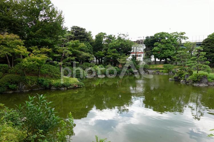 旧安田庭園 旧安田庭園 旧安田庭園,安田庭園,両国の写真素材
