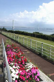 明石海峡大橋 明石海峡大橋 風景,景色,晴れの写真素材